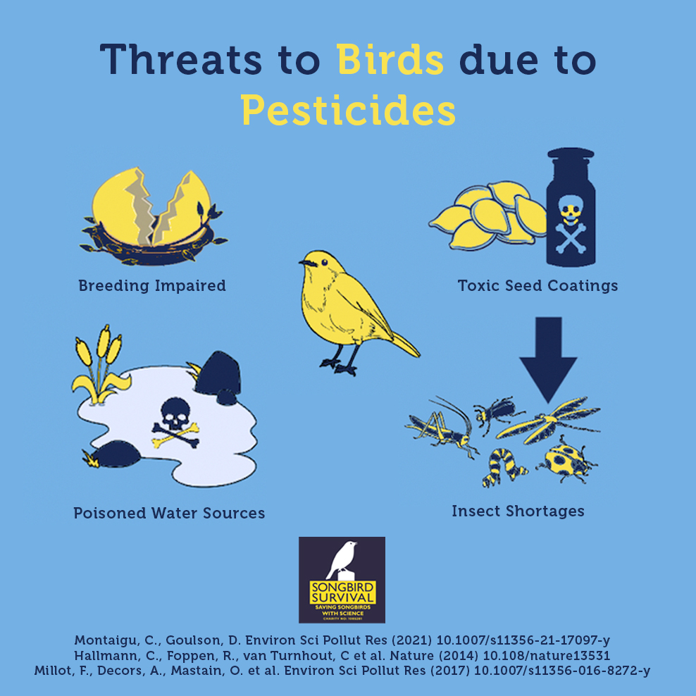 Birds and pesticides SongBird Survival Research